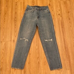 Wild Fable Highest Rise Mom Blue Denim Jeans